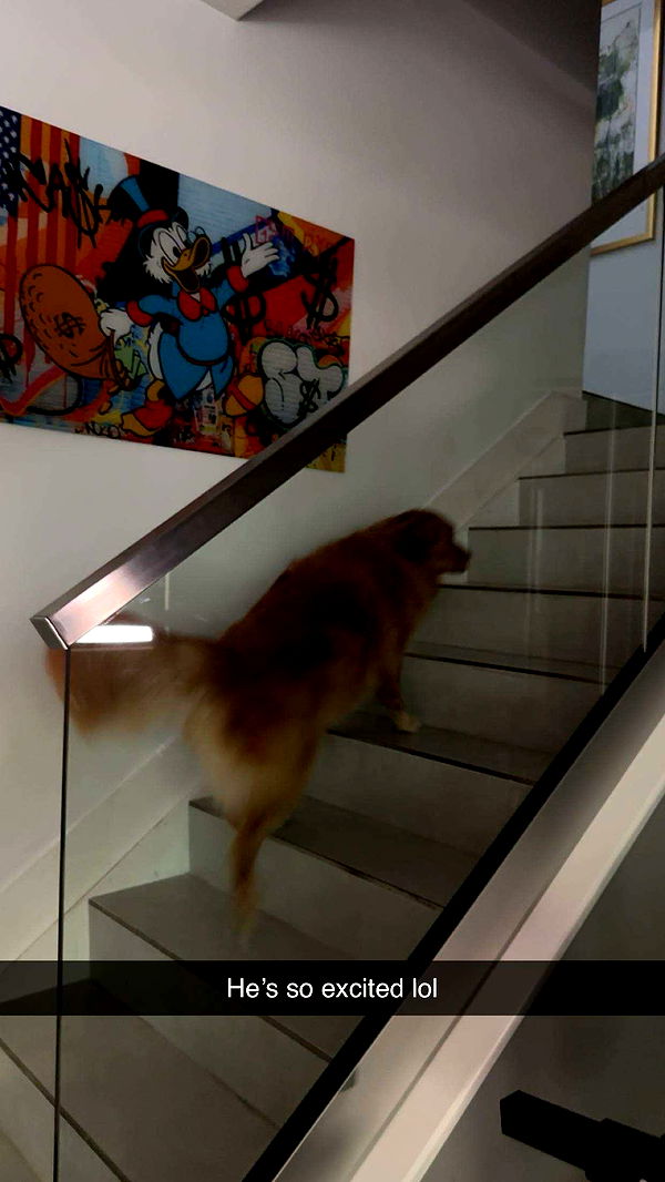 kylaayese image ~ Altpins