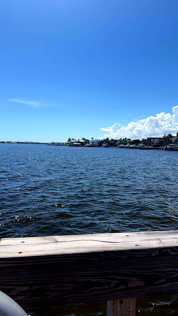 kylaayese image ~ Altpins