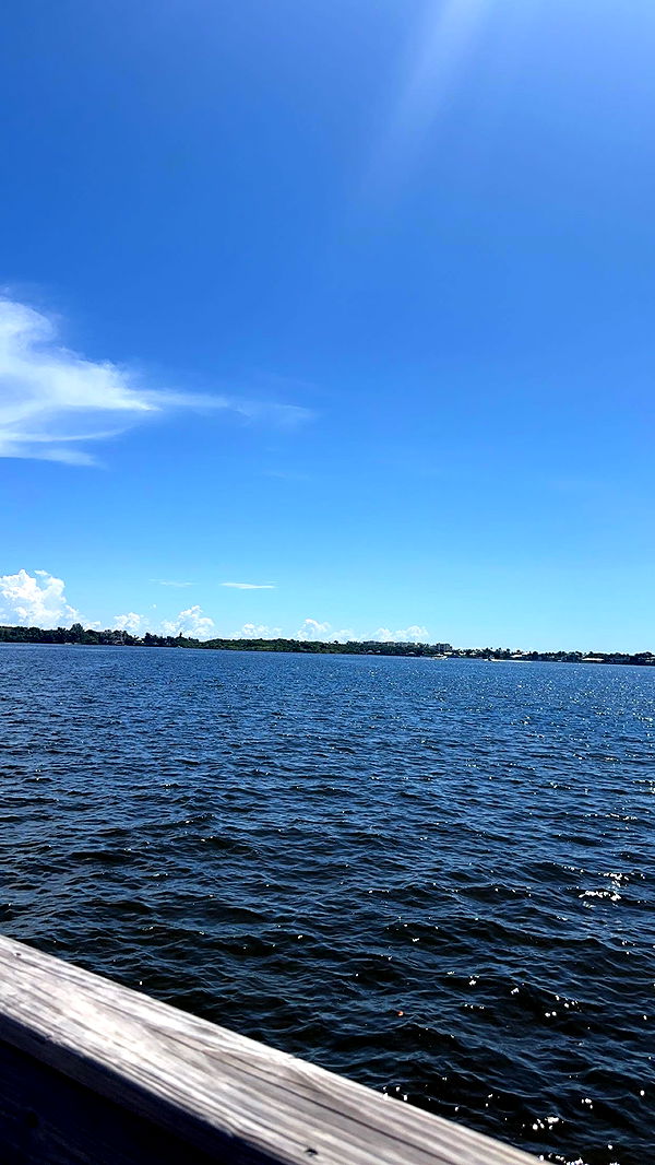 kylaayese image ~ Altpins