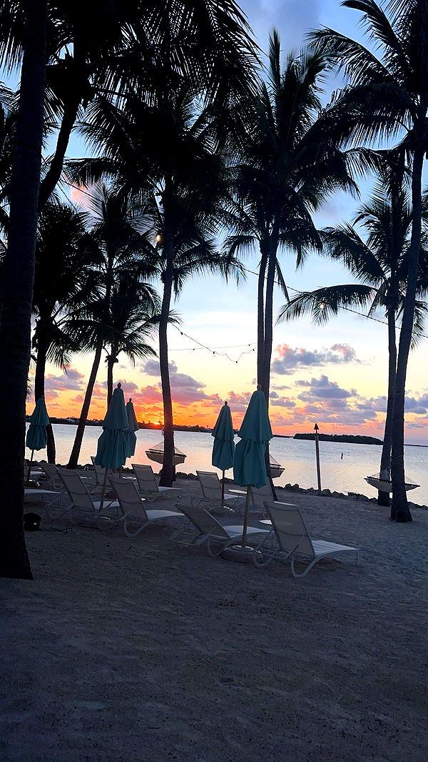 kylaayese image ~ Altpins