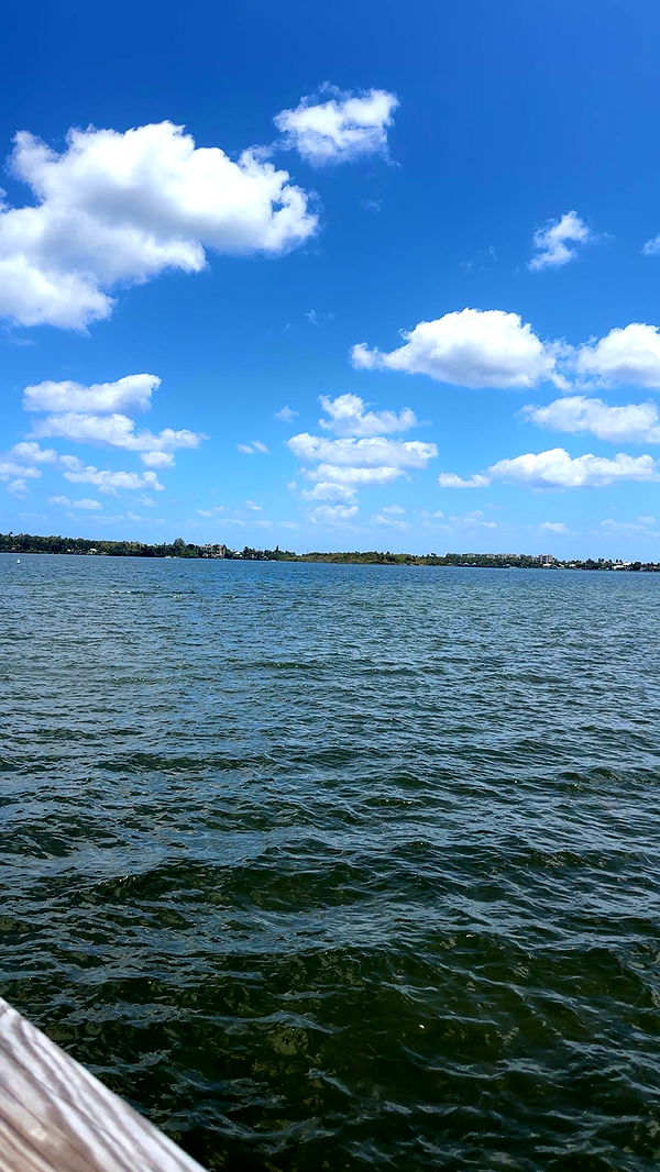 kylaayese image ~ Altpins