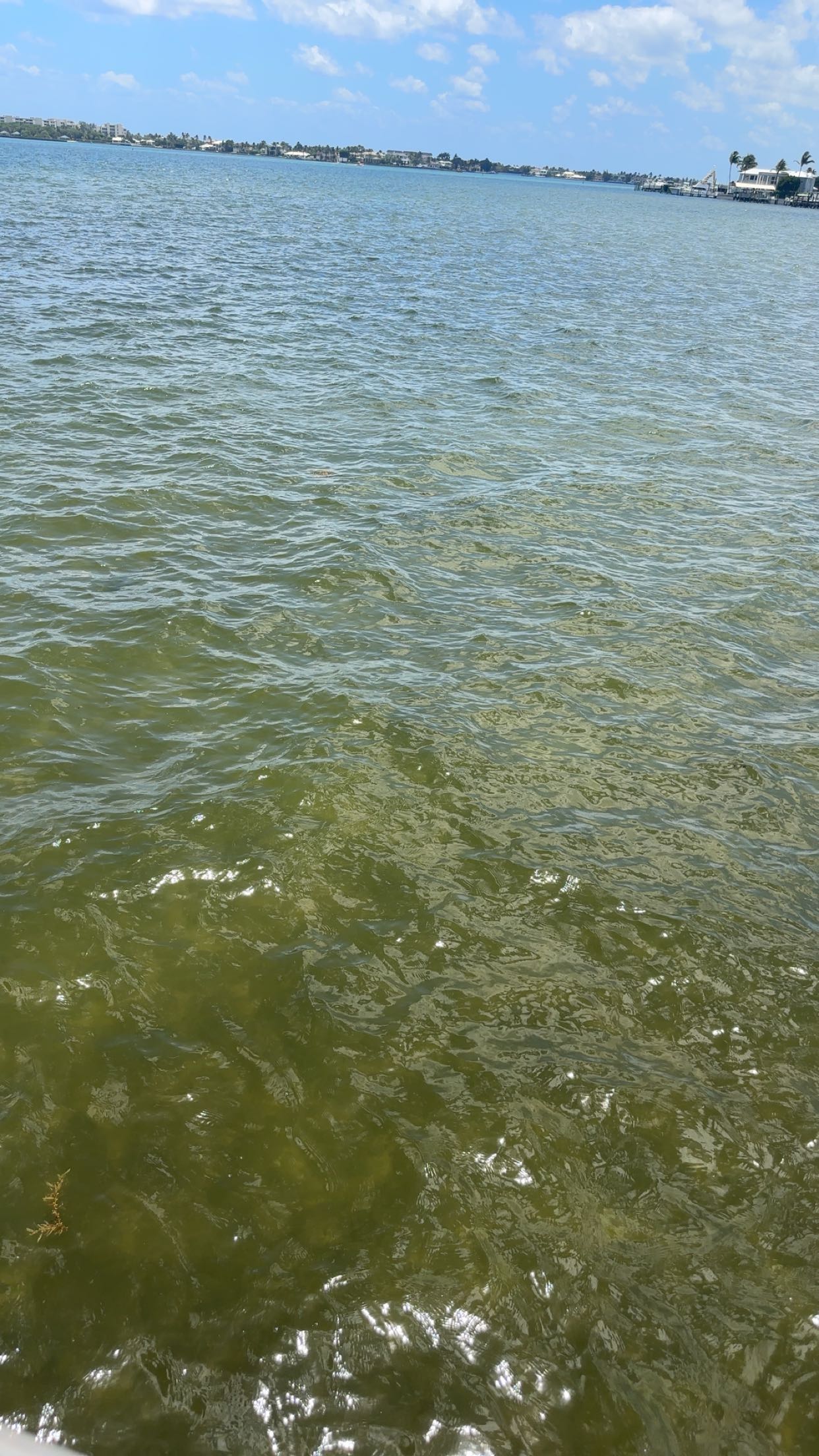 kylaayese snapchat image archive image