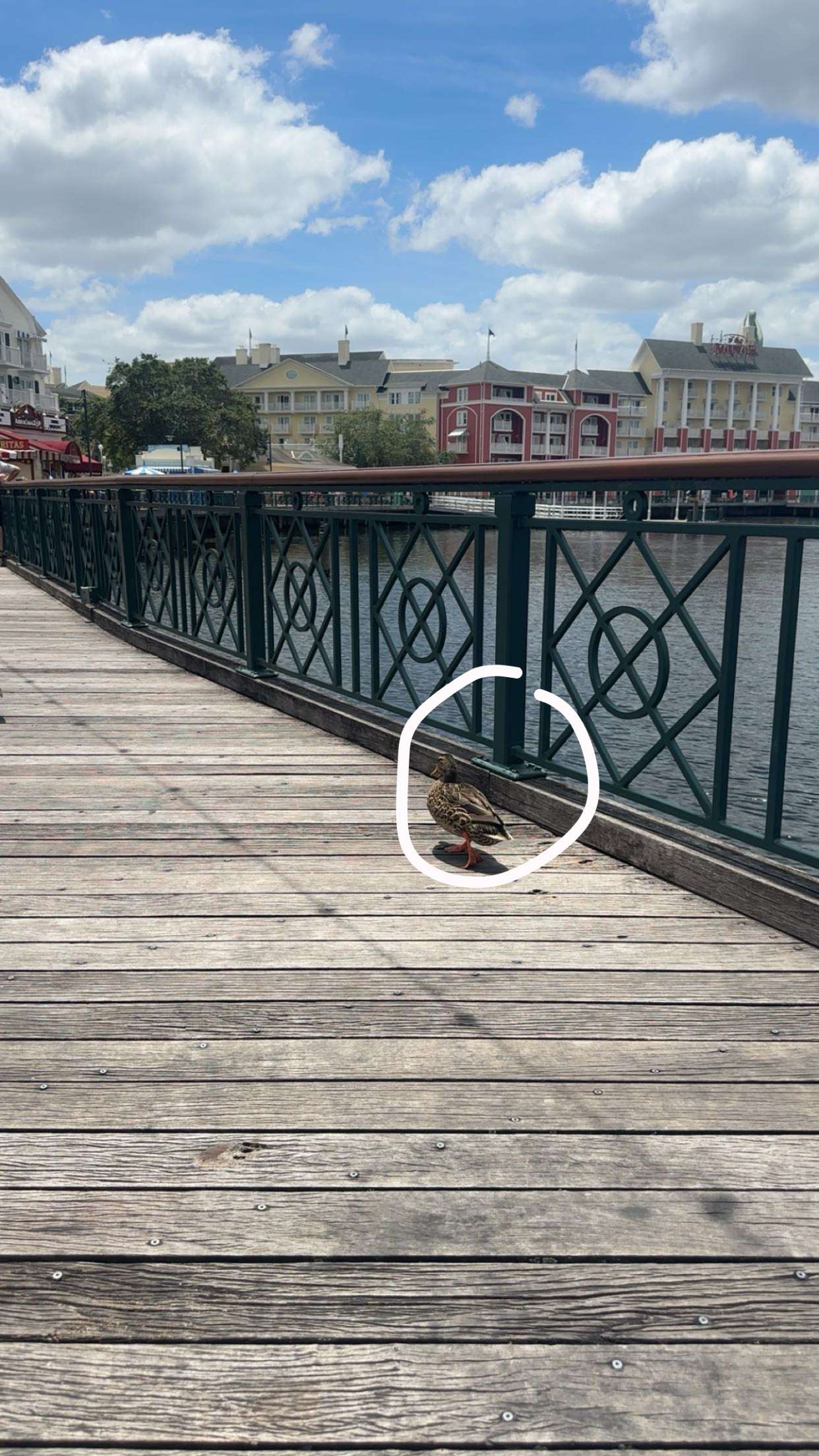 kylaayese snapchat image archive image