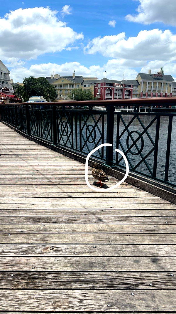 kylaayese image ~ Altpins