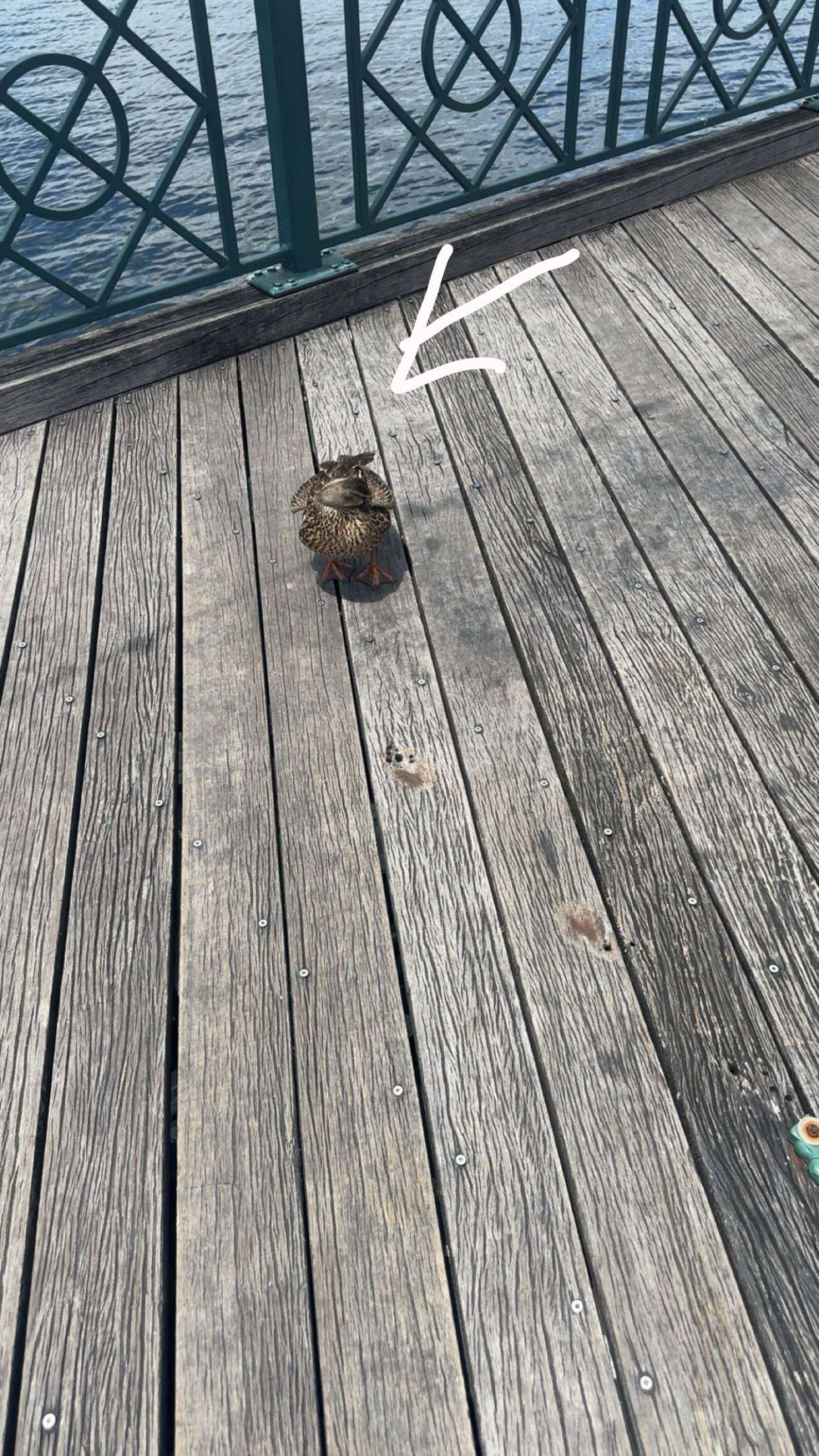 kylaayese snapchat image archive image