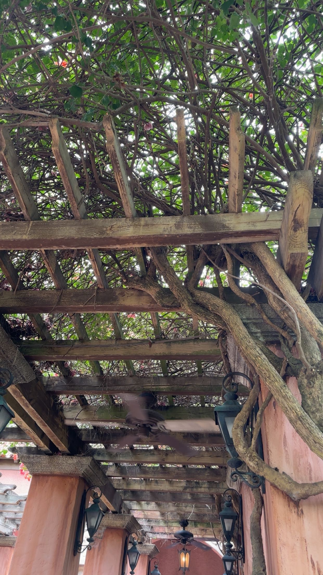 kylaayese snapchat image archive image