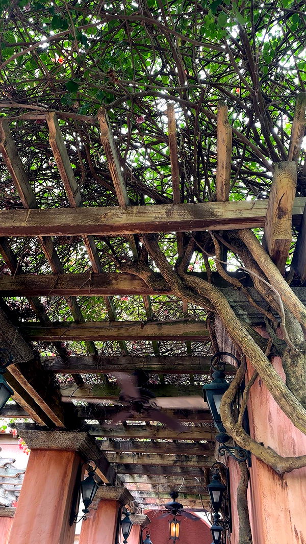 kylaayese image ~ Altpins