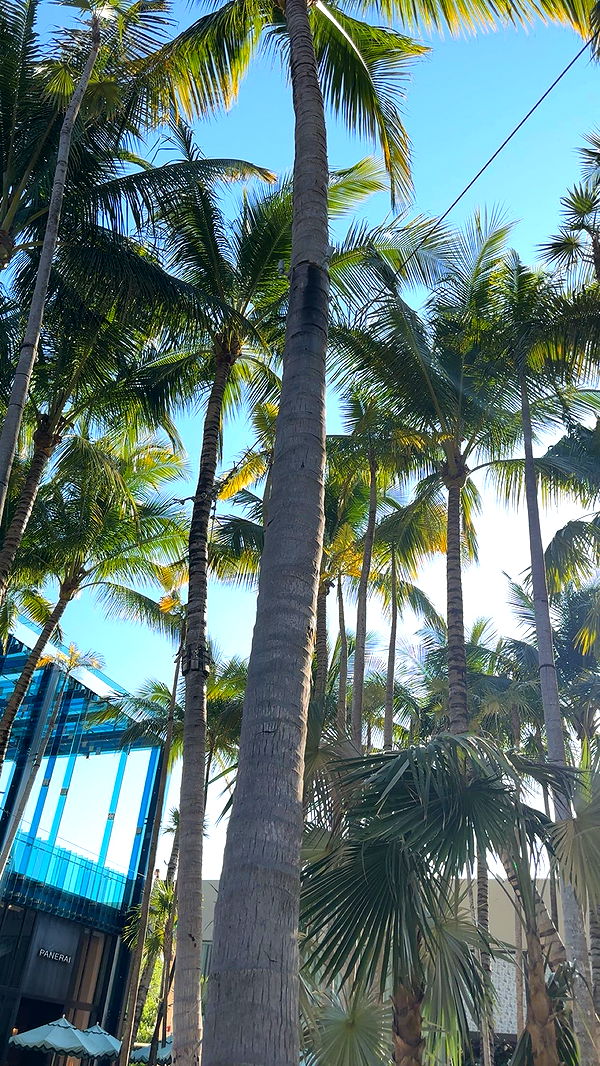 kylaayese image ~ Altpins