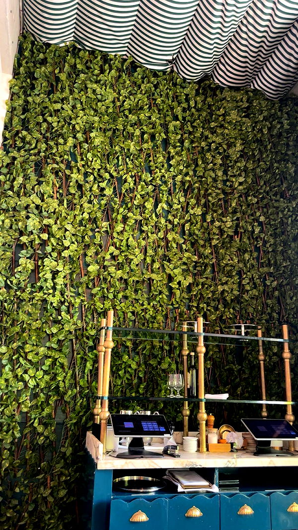 kylaayese image ~ Altpins