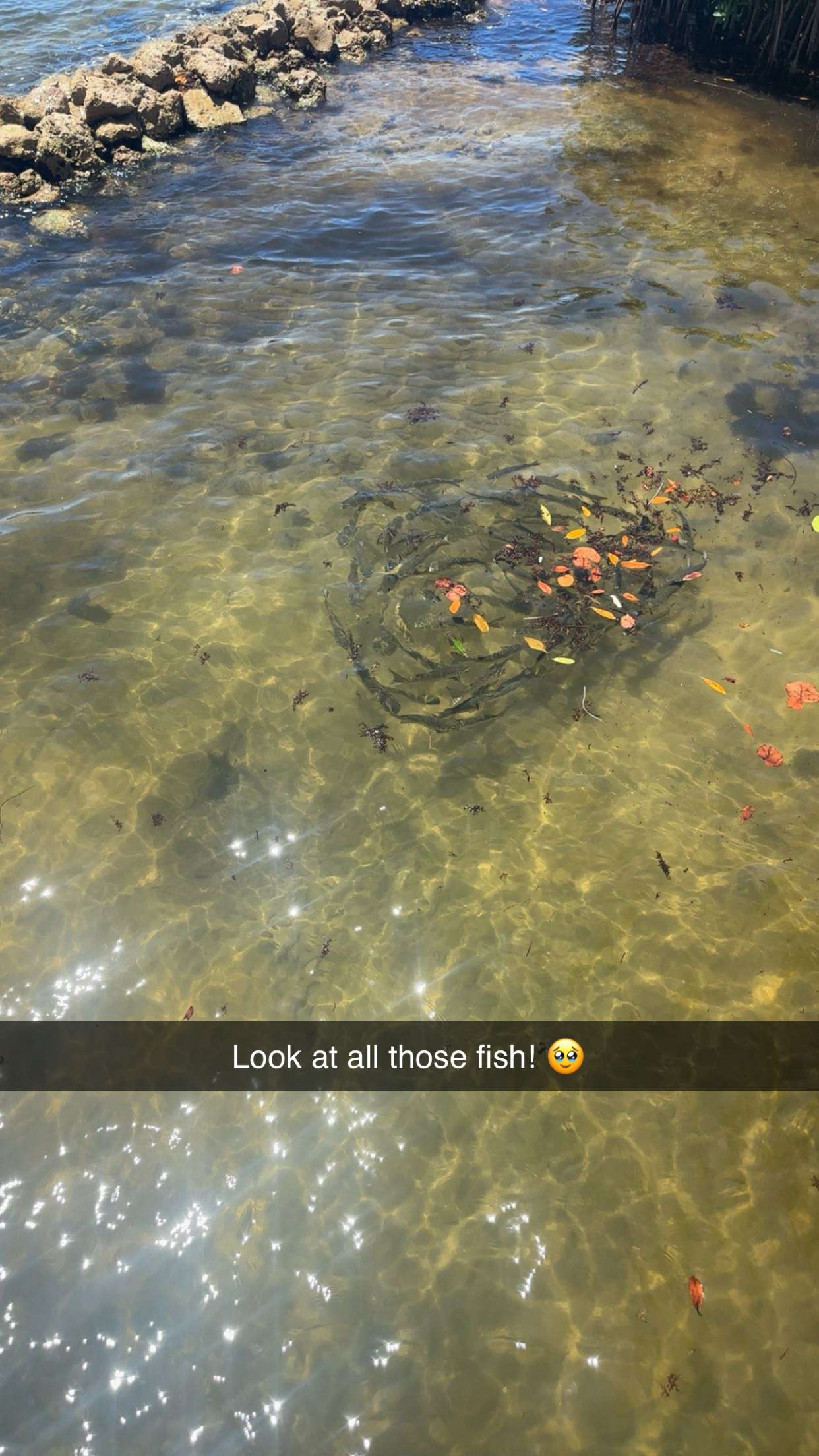 kylaayese snapchat image archive image