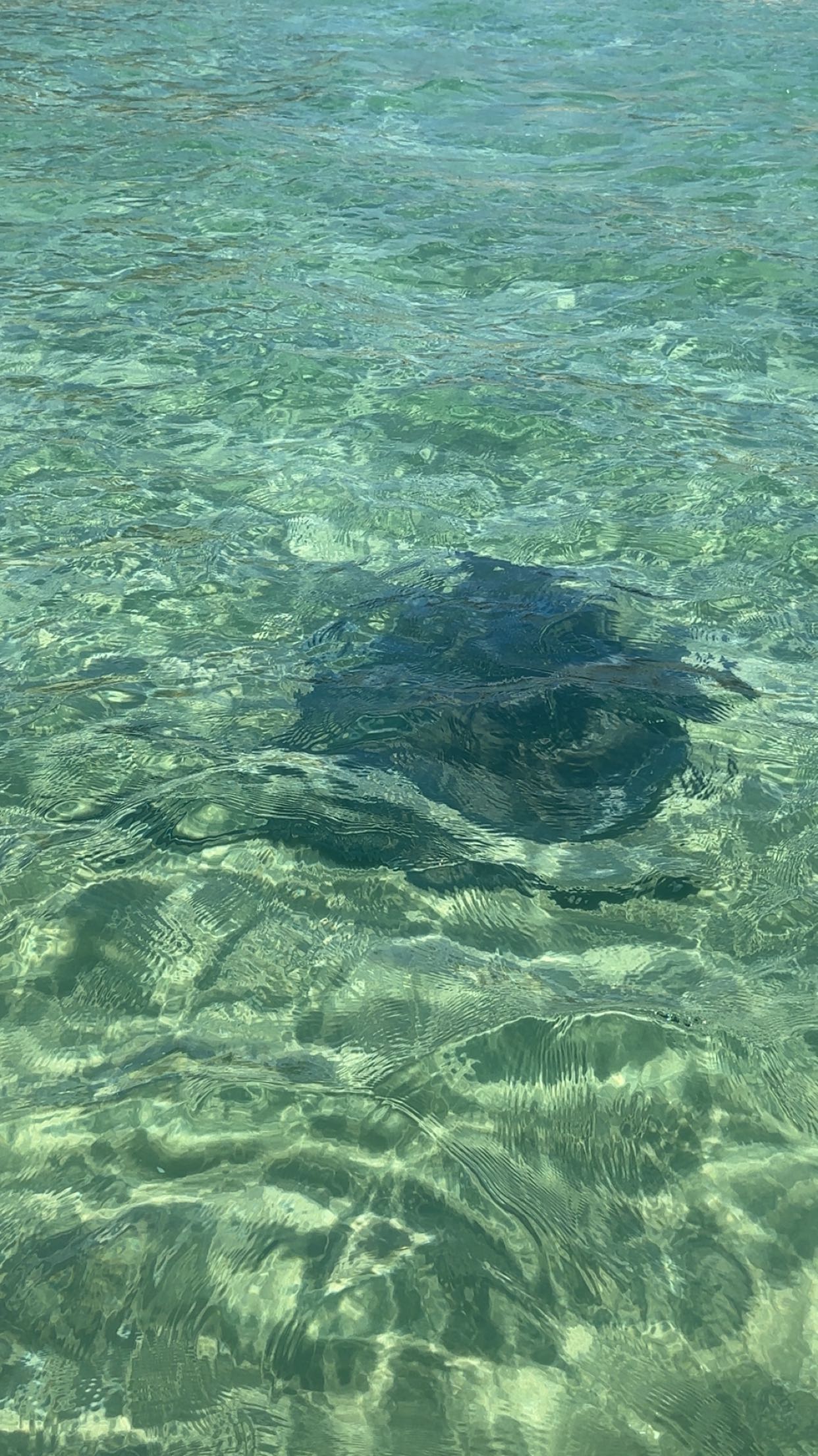 kylaayese snapchat image archive image