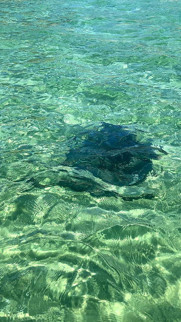 kylaayese image ~ Altpins