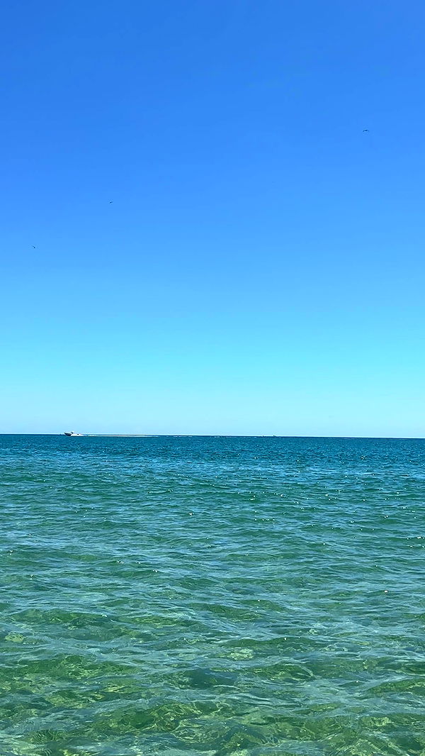 kylaayese image ~ Altpins