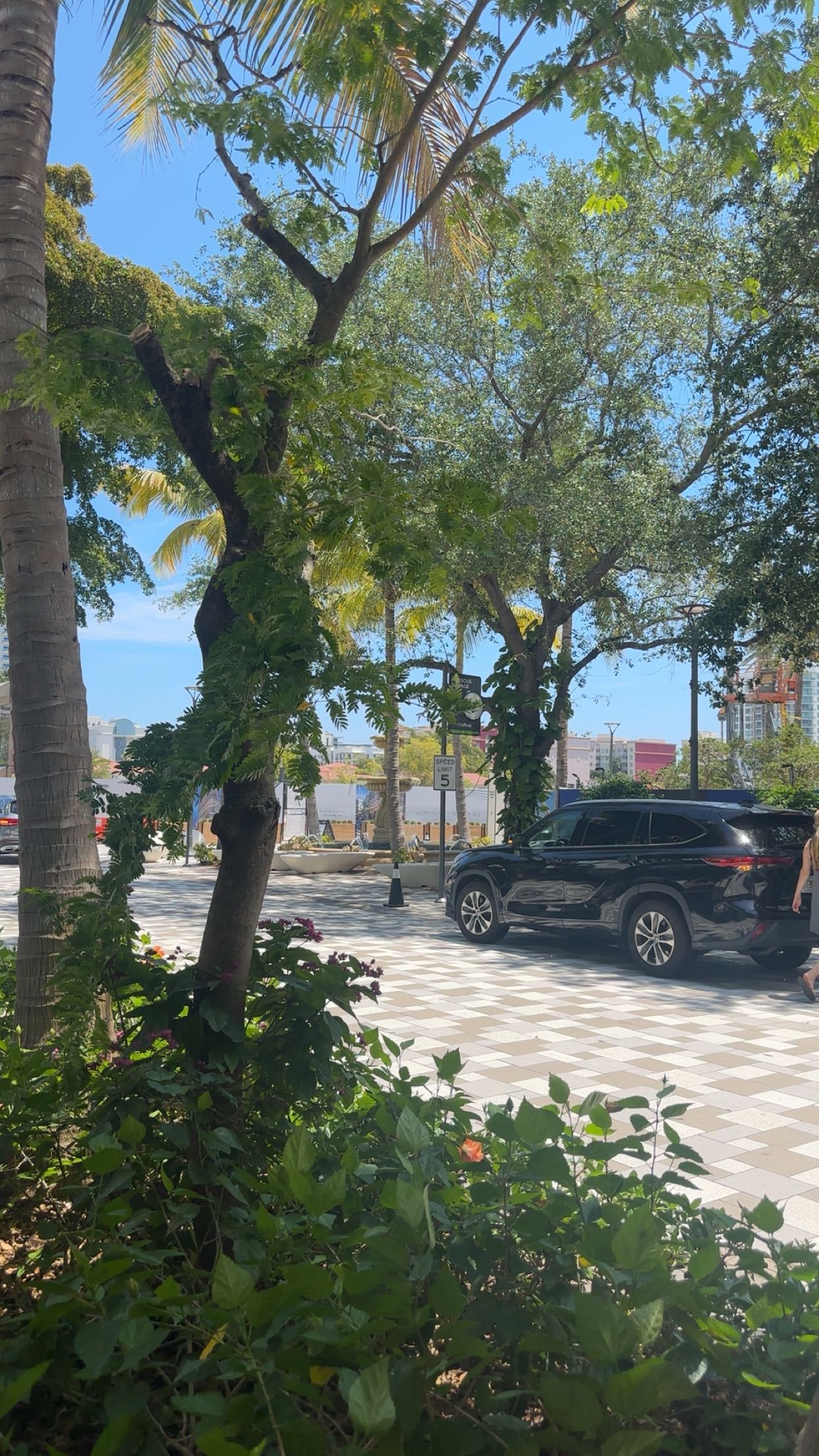 kylaayese snapchat image archive image