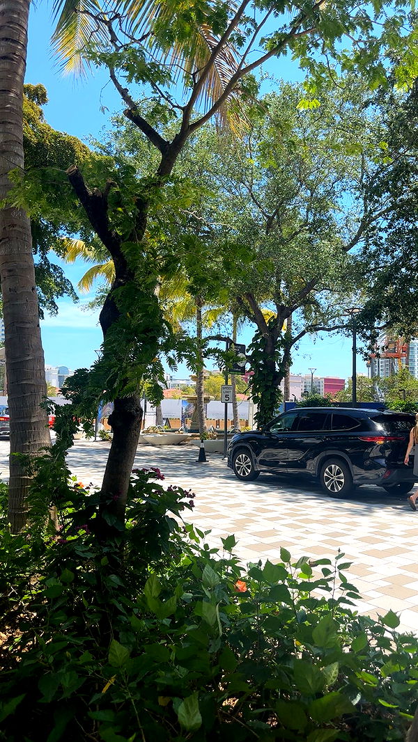 kylaayese image ~ Altpins