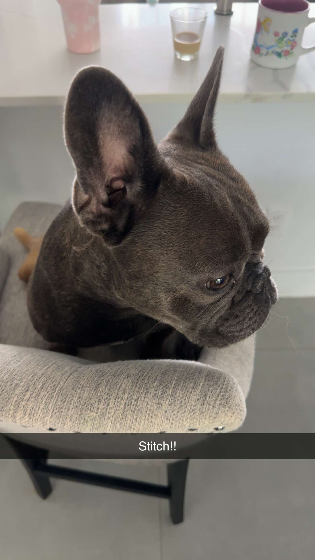 kylaayese snapchat image archive image