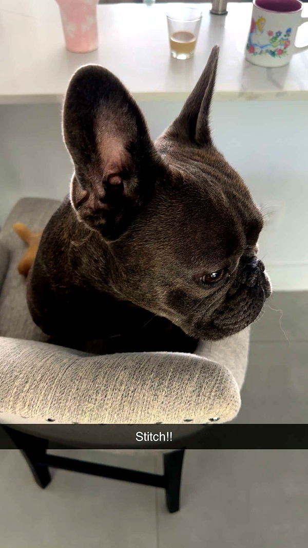 kylaayese image ~ Altpins