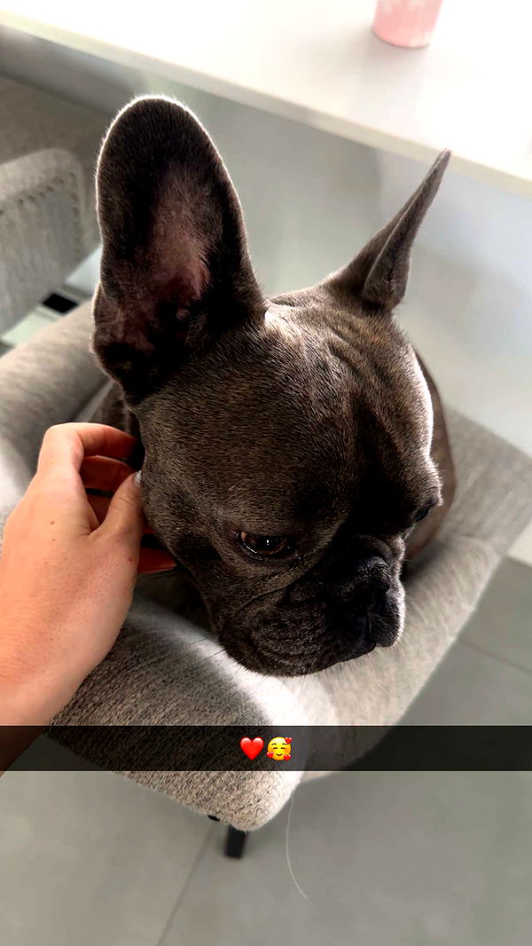 kylaayese image ~ Altpins