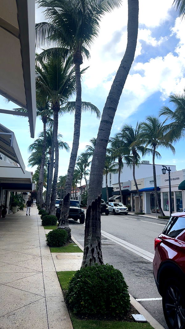 kylaayese image ~ Altpins