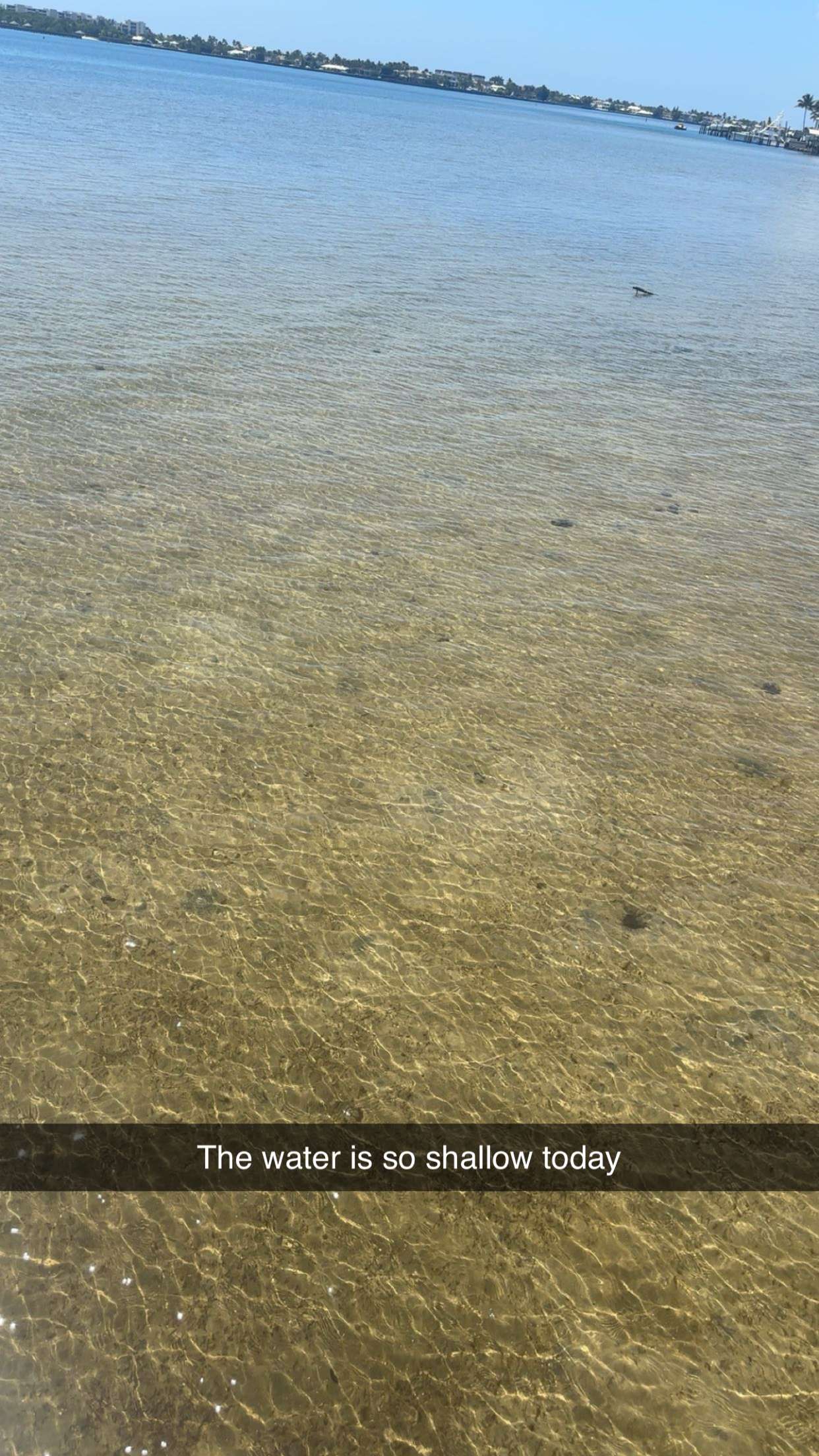 kylaayese snapchat image archive image