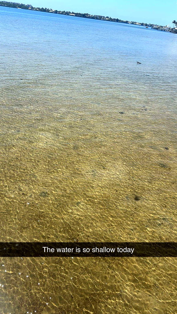 kylaayese image ~ Altpins