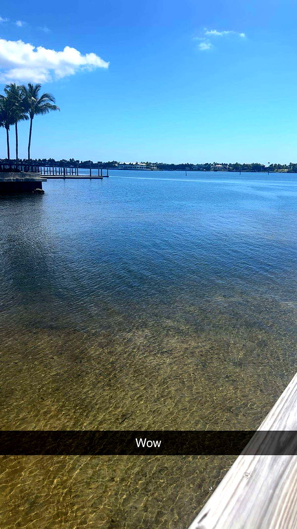 kylaayese image ~ Altpins