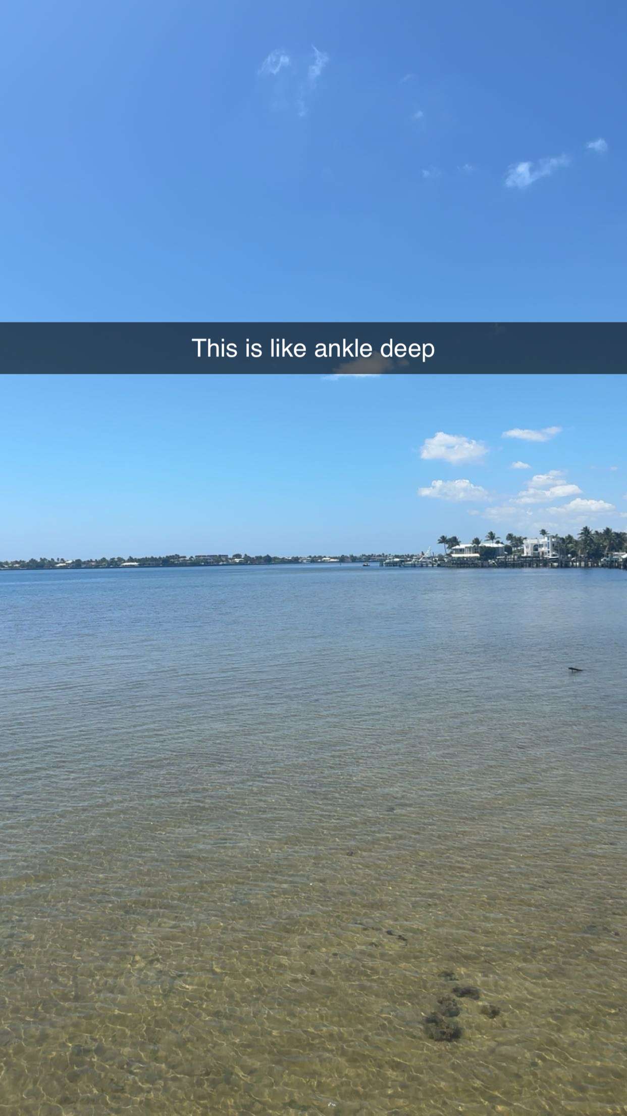 kylaayese snapchat image archive image