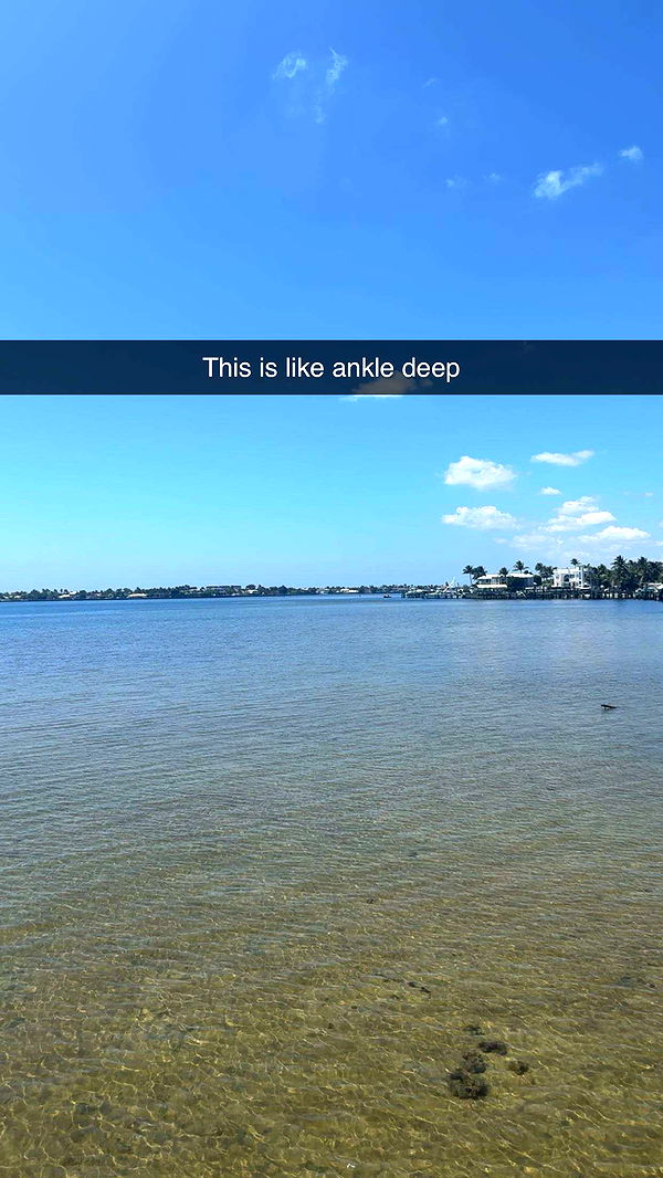 kylaayese image ~ Altpins