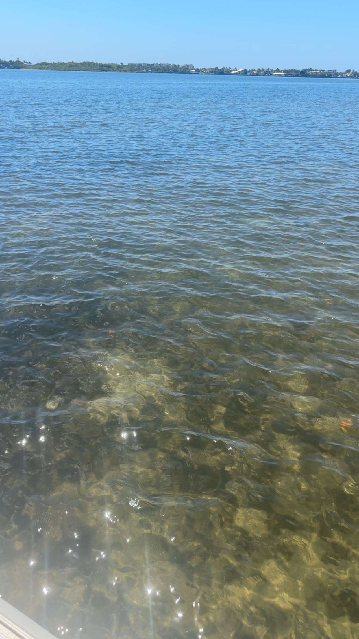 kylaayese snapchat image archive image