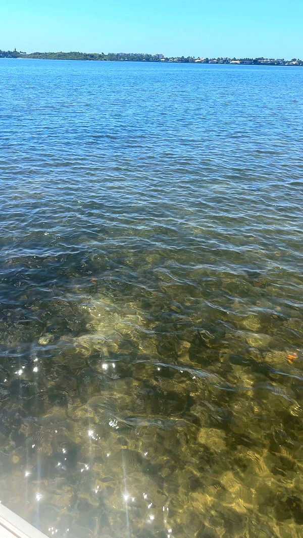 kylaayese image ~ Altpins