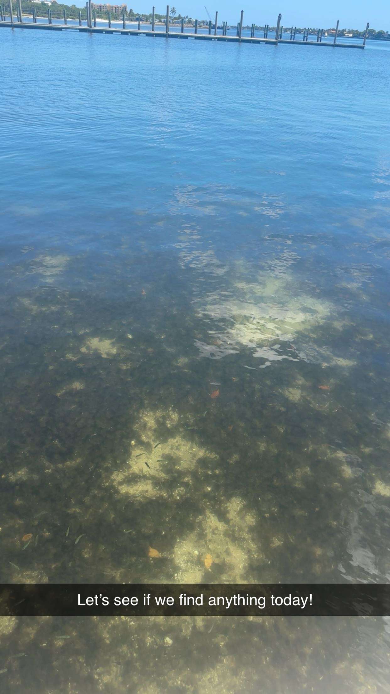 kylaayese snapchat image archive image