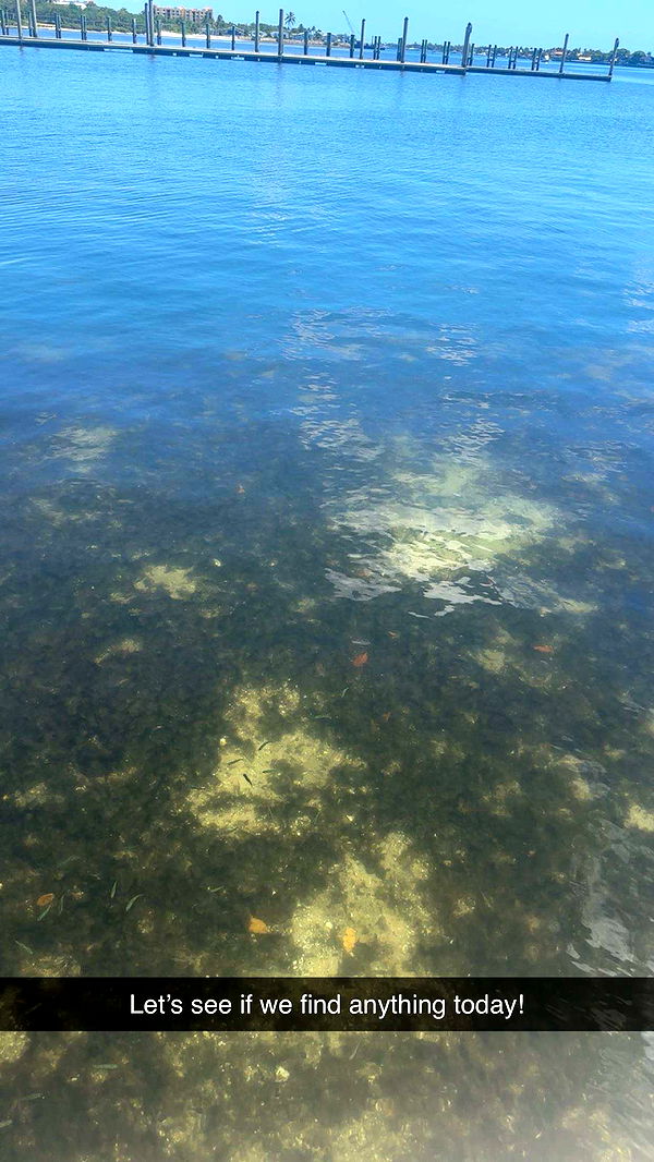 kylaayese image ~ Altpins