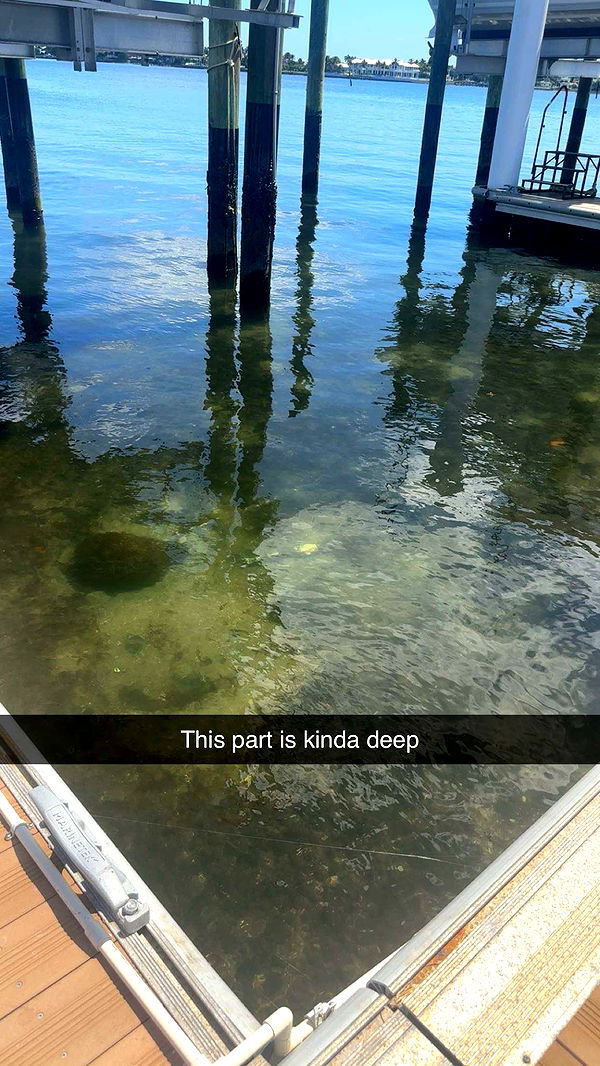 kylaayese image ~ Altpins