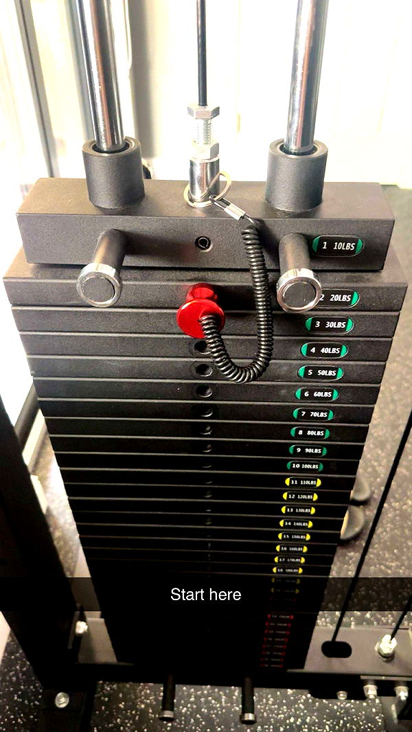 kylaayese image ~ Altpins