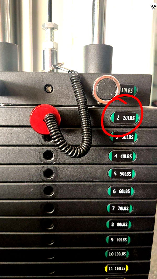 kylaayese image ~ Altpins