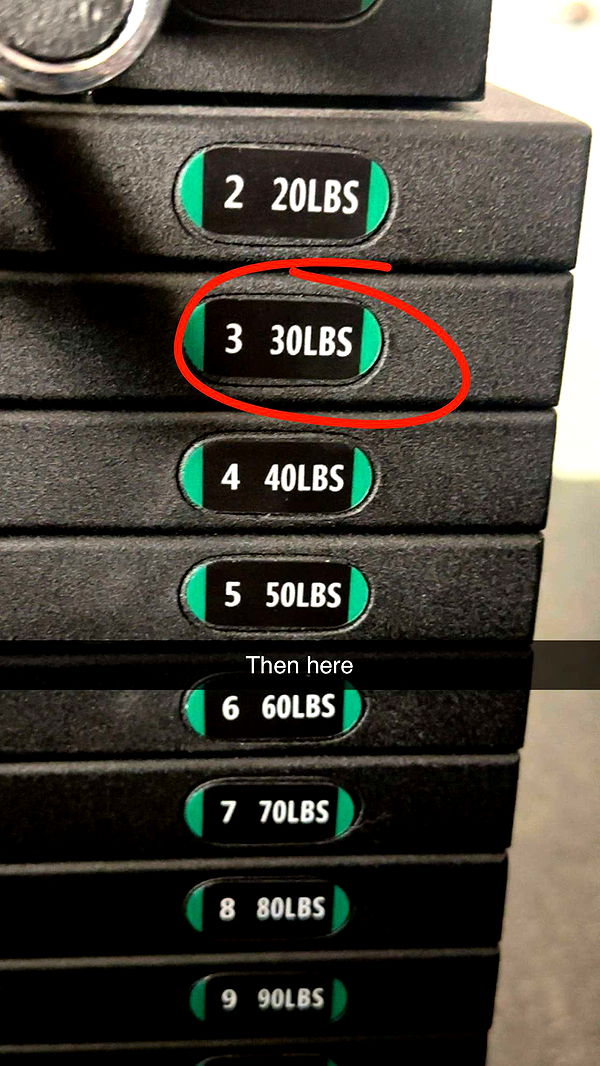 kylaayese image ~ Altpins