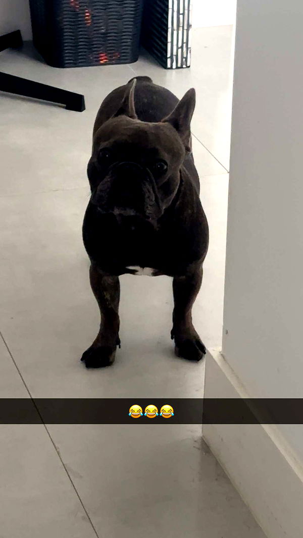 kylaayese image ~ Altpins