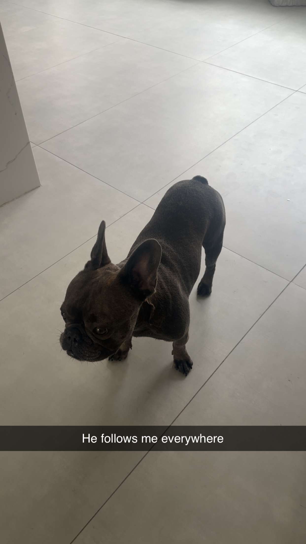 kylaayese snapchat image archive image