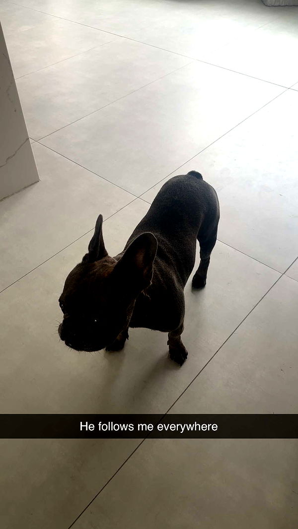 kylaayese image ~ Altpins