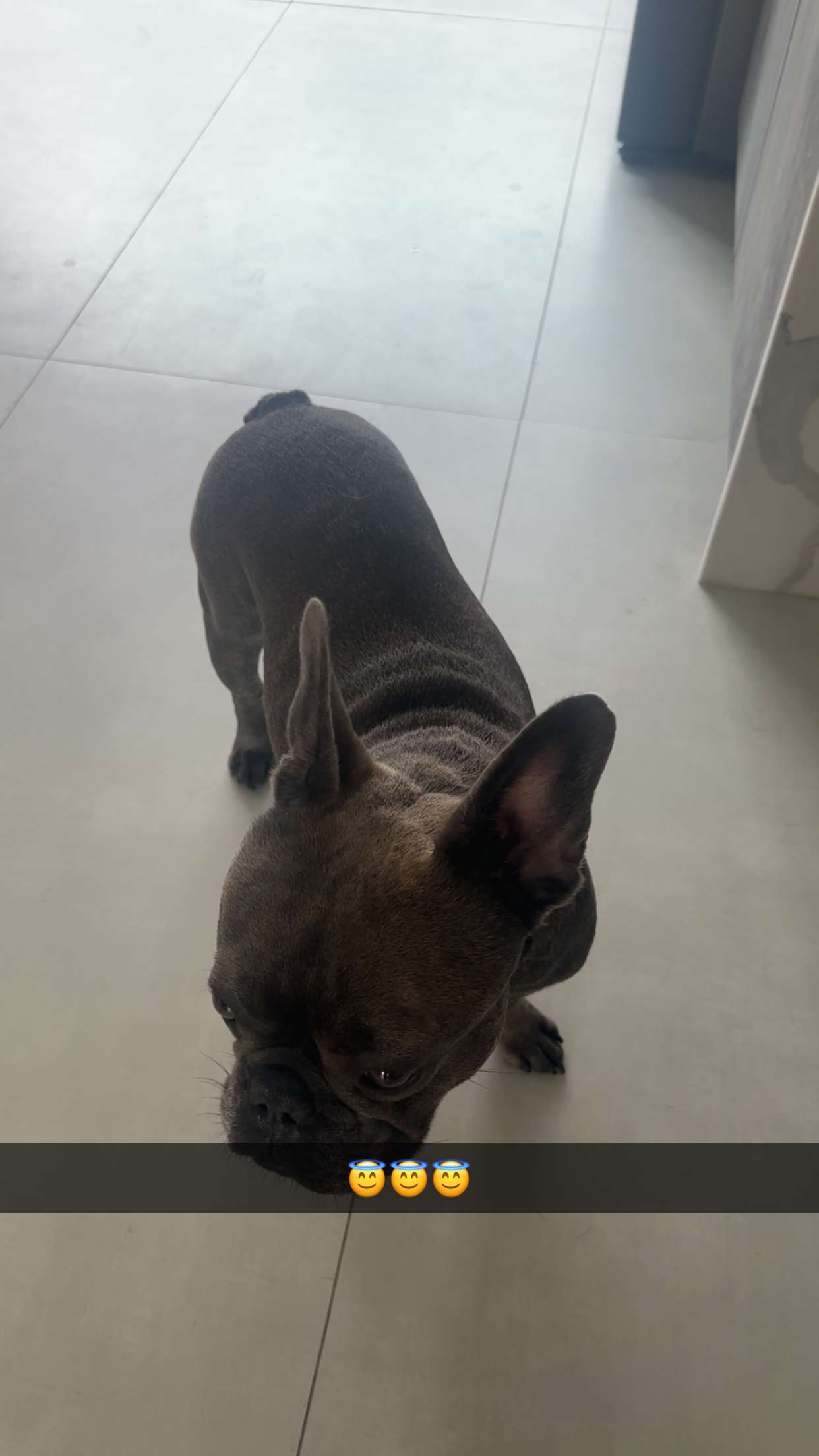 kylaayese snapchat image archive image