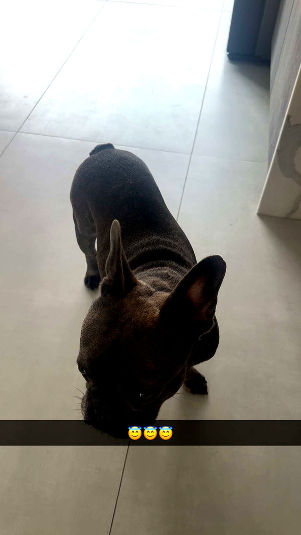 kylaayese image ~ Altpins