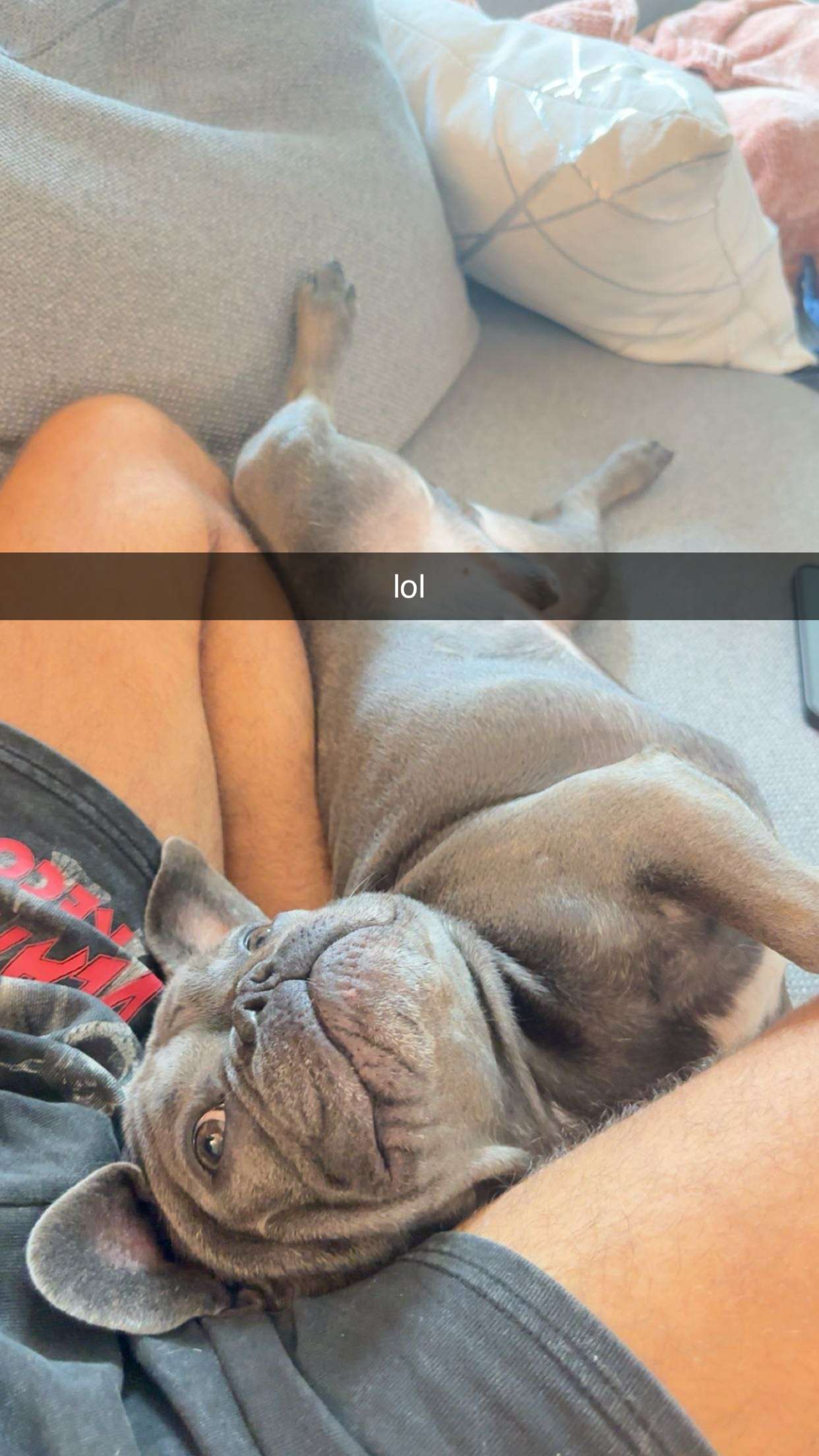 kylaayese snapchat image archive image