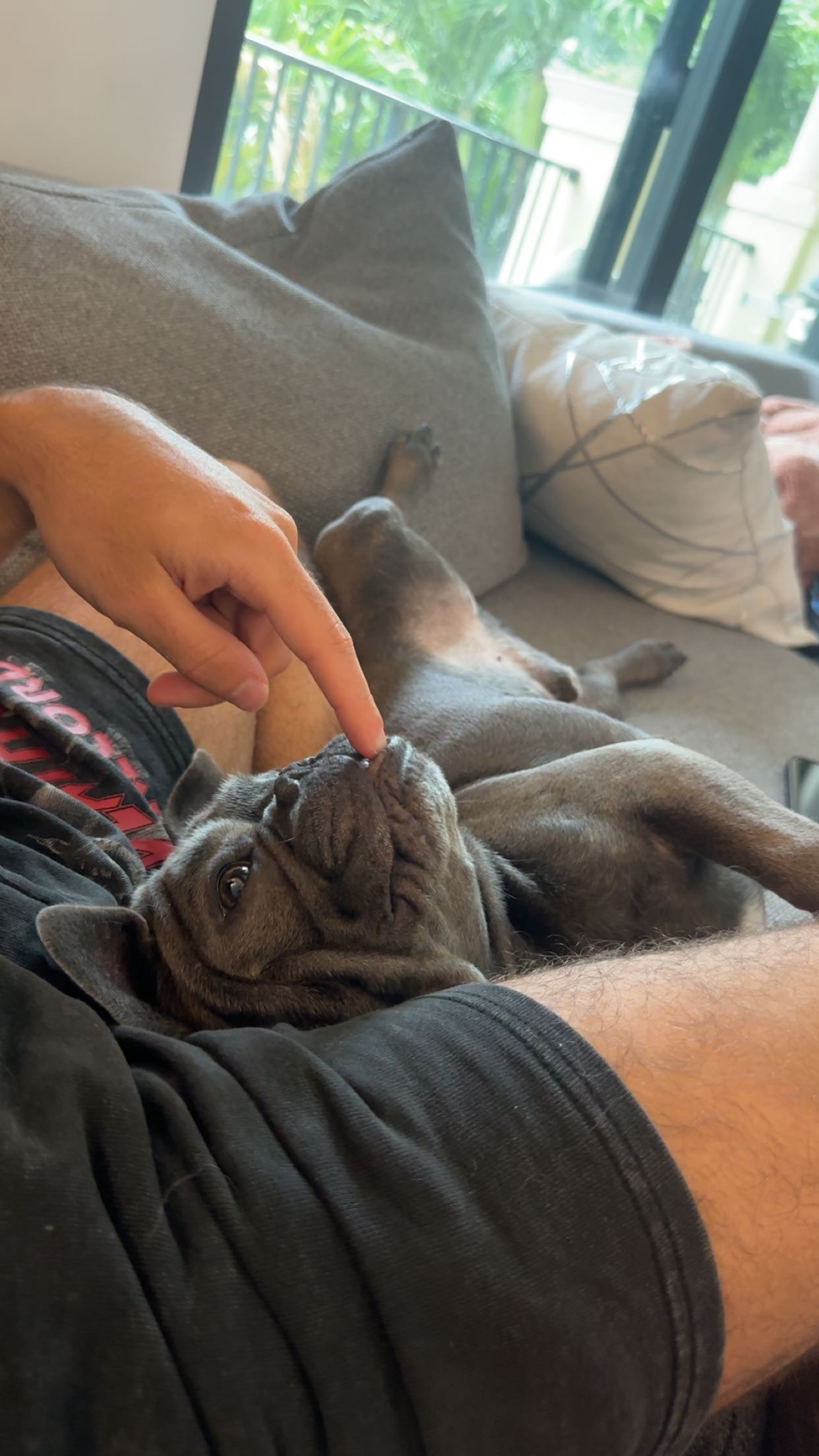 kylaayese snapchat image archive image