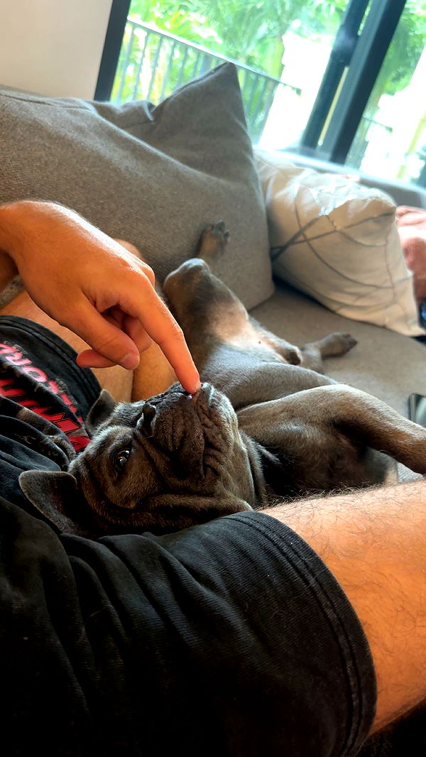 kylaayese image ~ Altpins