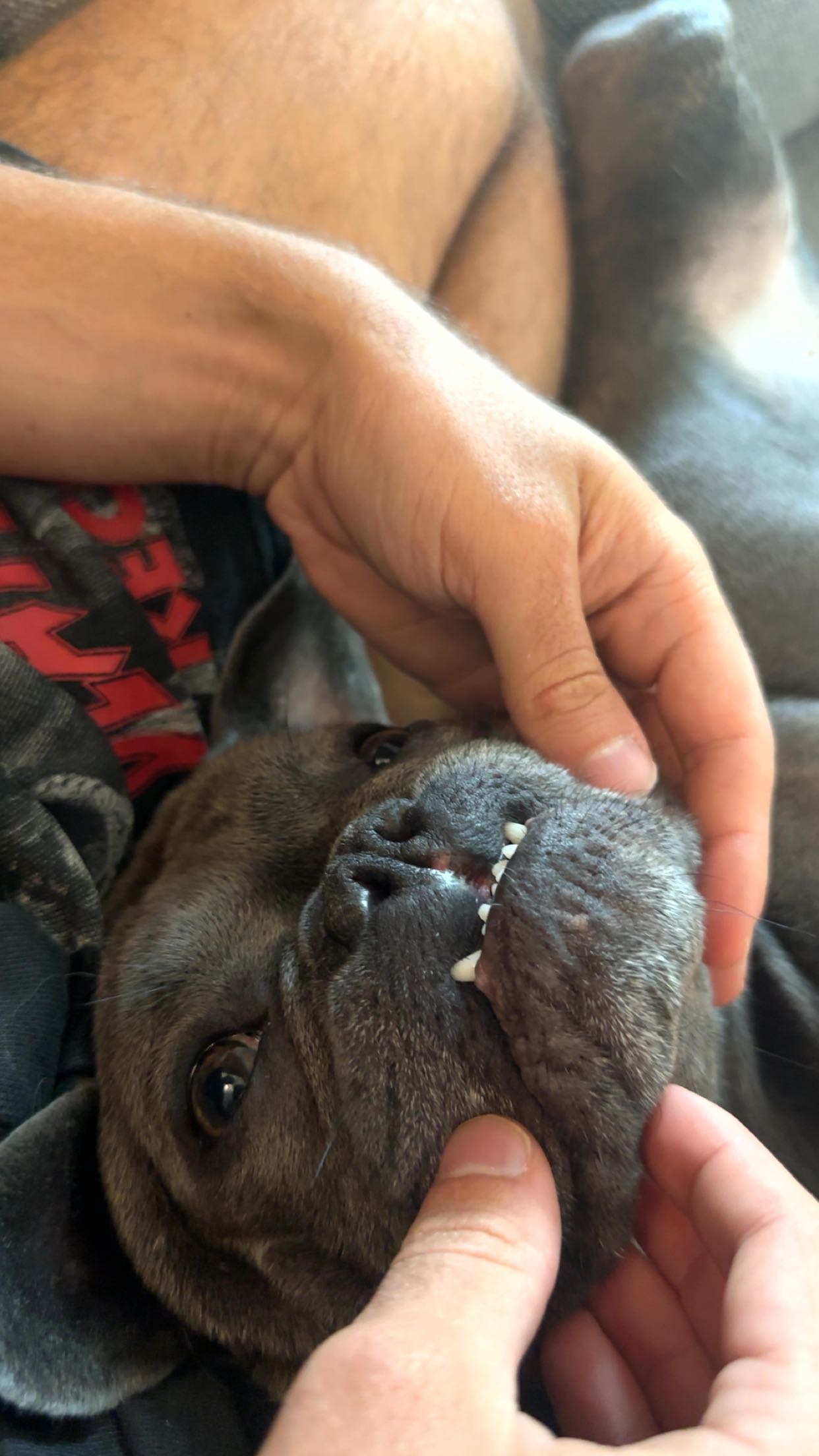 kylaayese snapchat image archive image