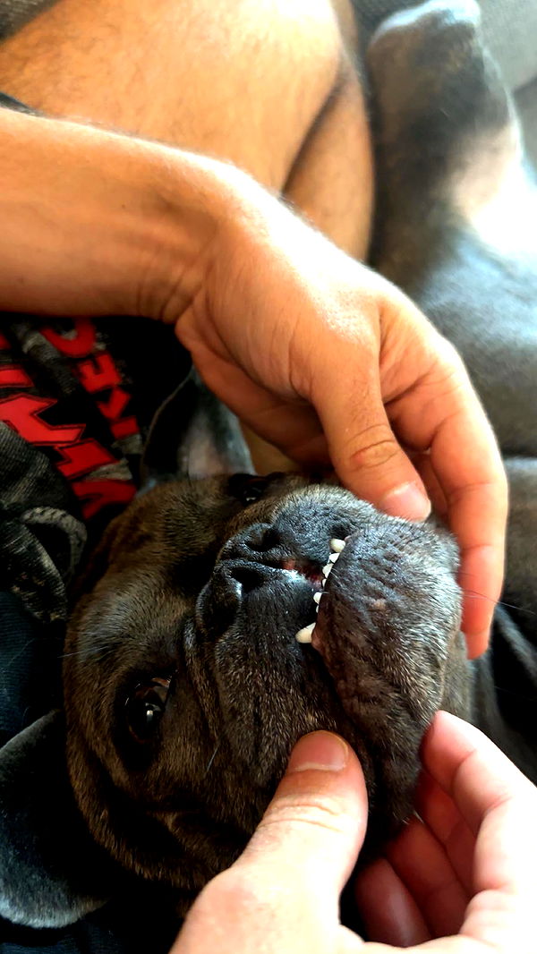 kylaayese image ~ Altpins