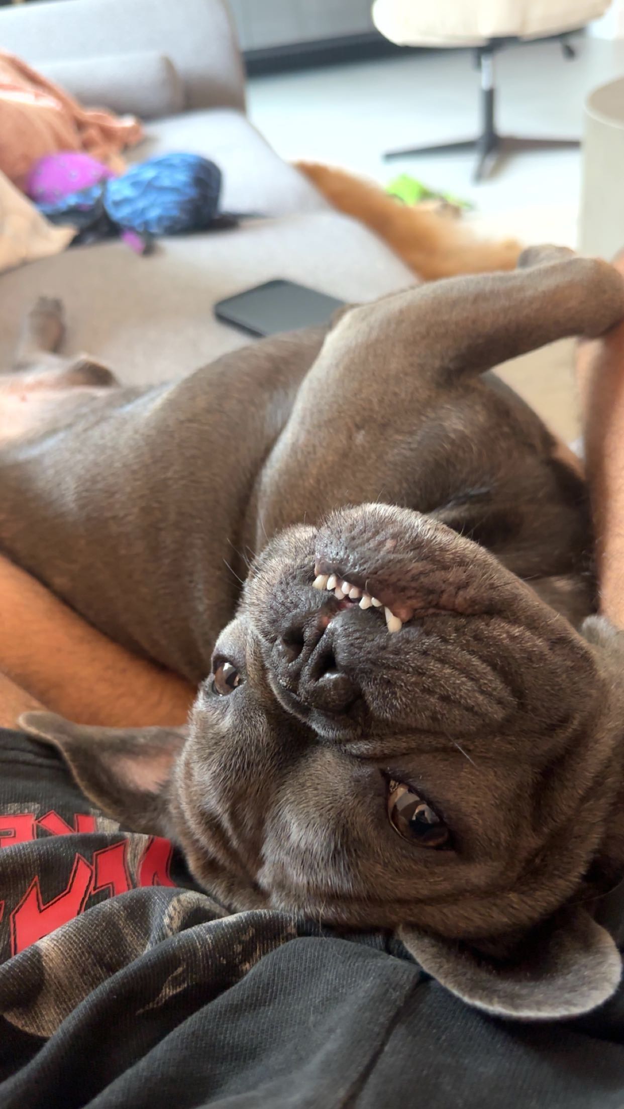 kylaayese snapchat image archive image