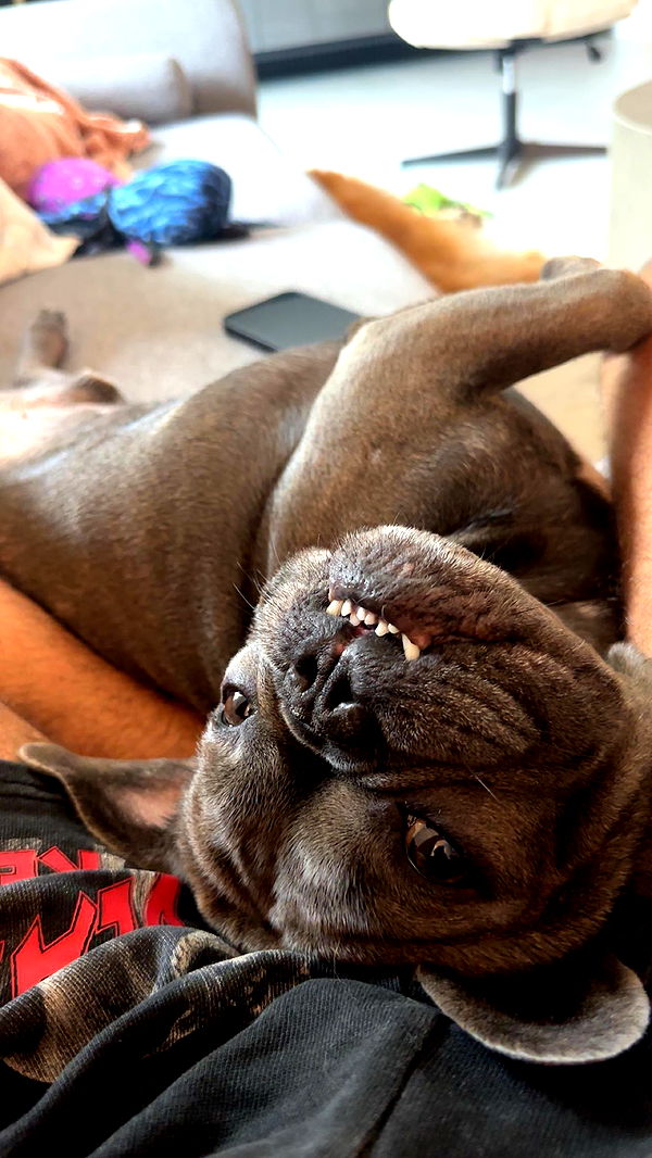 kylaayese image ~ Altpins