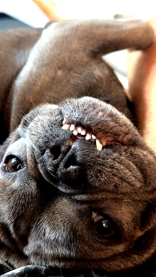 kylaayese image ~ Altpins