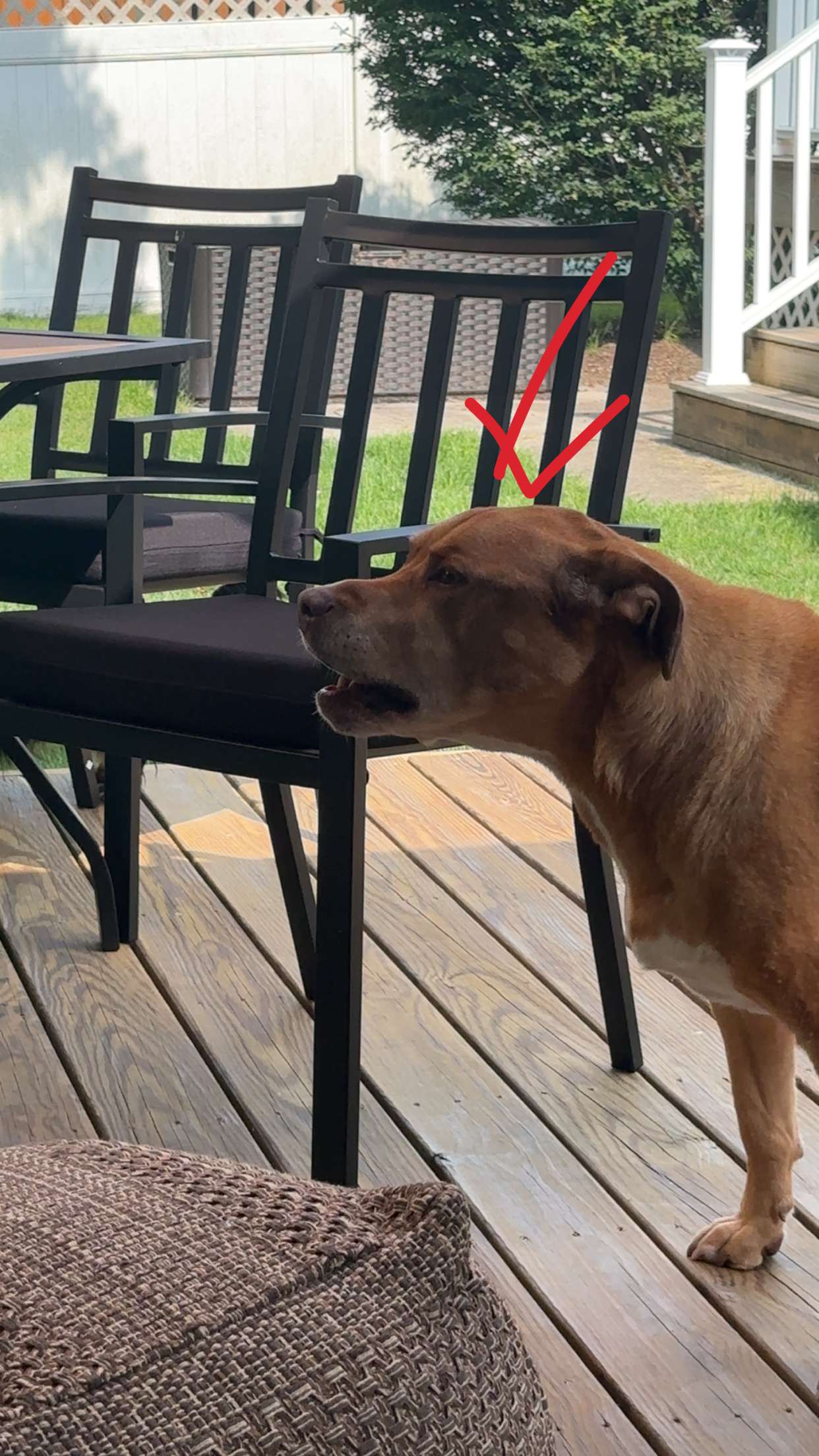 kylaayese snapchat image archive image